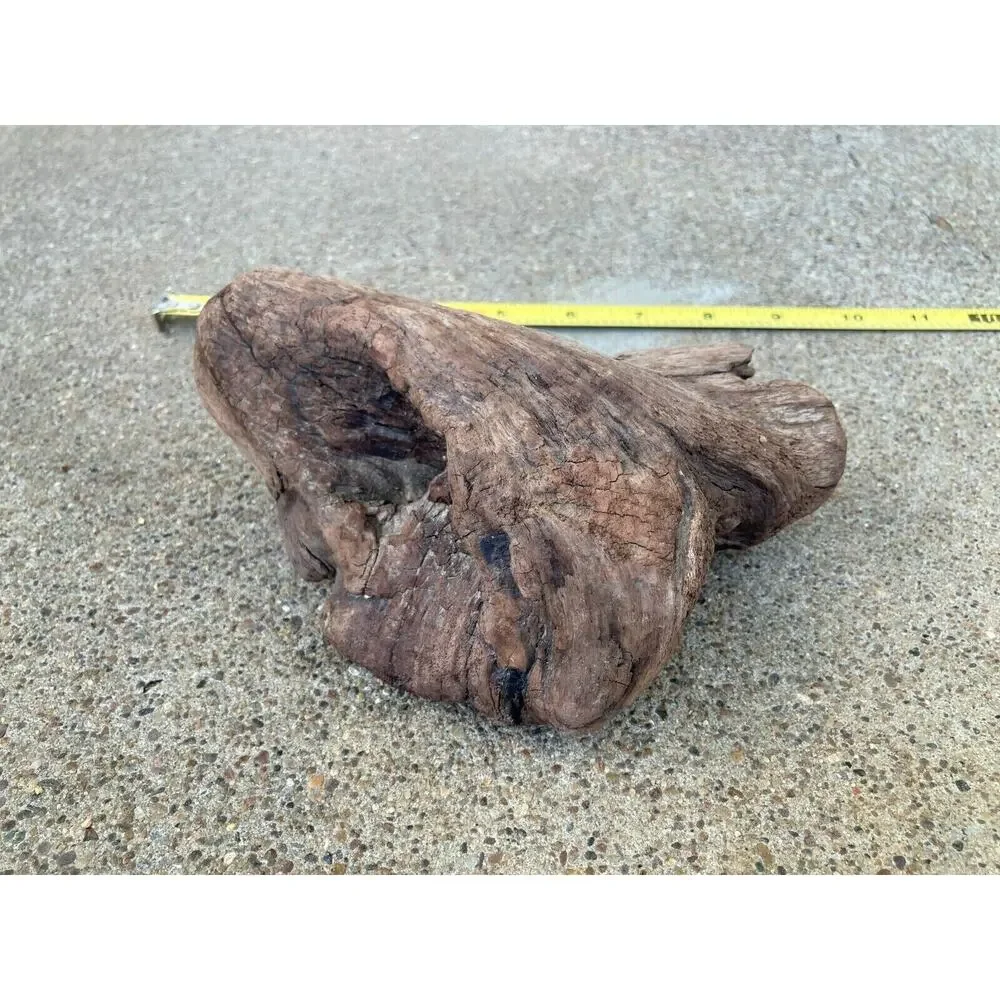 Ohio River Driftwood 6.5